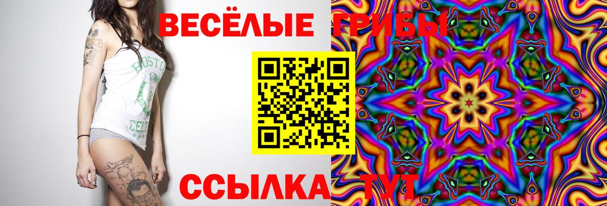 Псилоцибиновые грибы GOLDEN TEACHER Азов