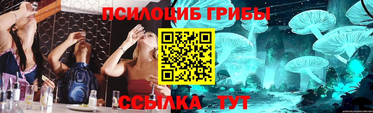 Азов  Галлюциногенные грибы MAGIC MUSHROOMS  Вход с VPN 